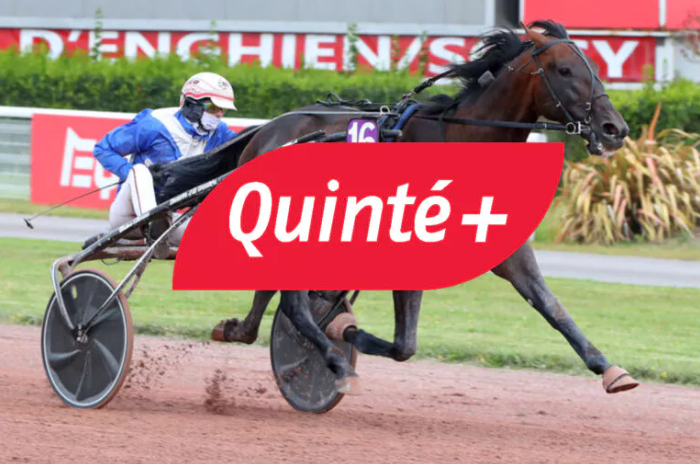 Quinté du Samedi 14 juin 2025