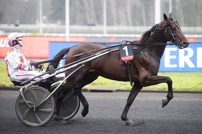 Quinté du Lundi 07 Juillet 2025