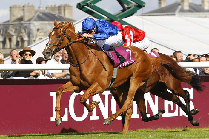 Quinté du Dimanche 15 juin 2025