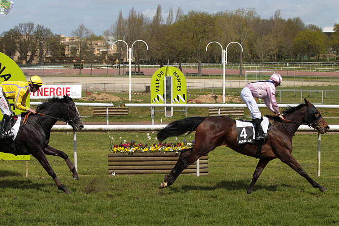 Quinté du Mardi 17 juin 2025