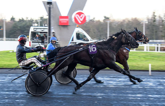 Quinté du Vendredi 20 juin 2025