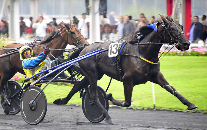 Quinté du Dimanche 22 juin 2025