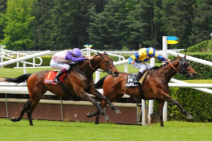 Quinté du Lundi 23 juin 2025