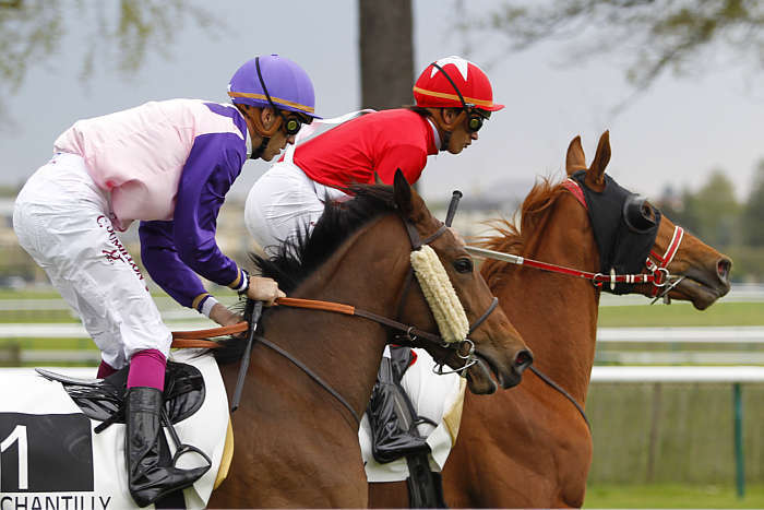 Quinté du Mardi 24 juin 2025