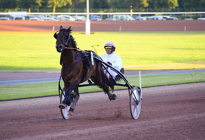 Quinté du Mercredi 25 juin 2025