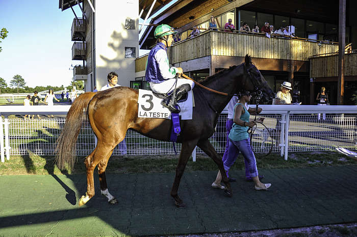 Quinté du Jeudi 26 juin 2025