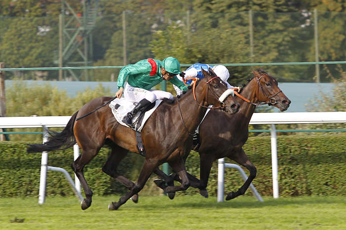 Quinté du Dimanche 29 juin 2025