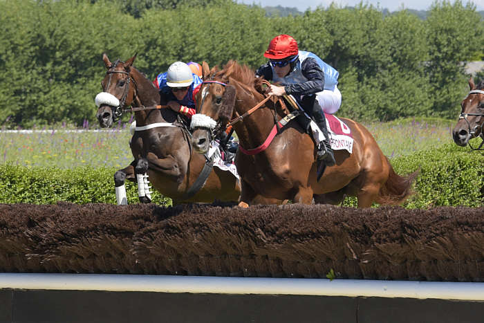 Quinté du Lundi 30 juin 2025