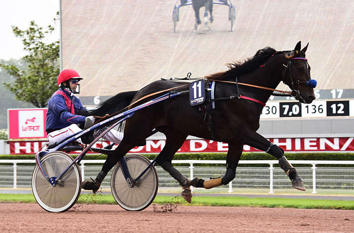 Quinté du Samedi 05 Juillet 2025
