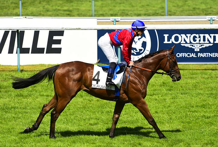 Quinté du Dimanche 06 Juillet 2025