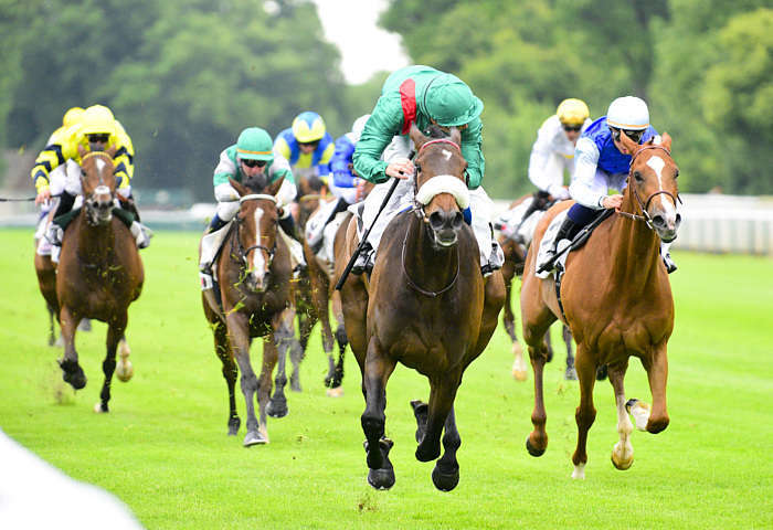 Pronostics Quinté du Mardi 08 Juillet 2025