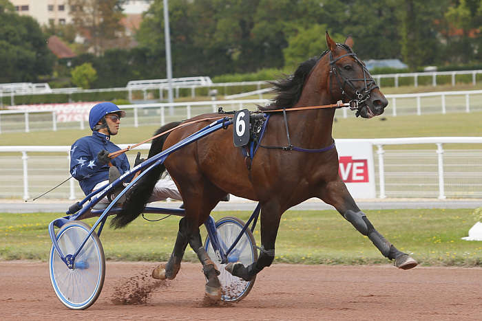 Pronostic Quinté du Jeudi 10 Juillet 2025