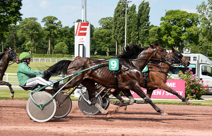 Pronostic Quinté du Samedi 19 Juillet 2025