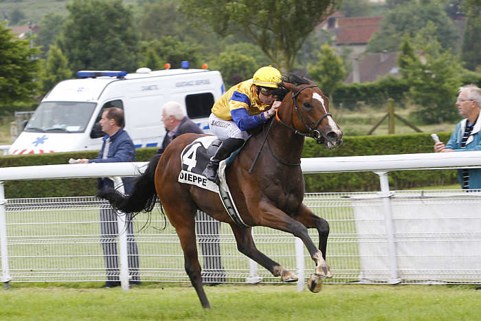 Pronostic Quinté du Mardi 22 Juillet 2025