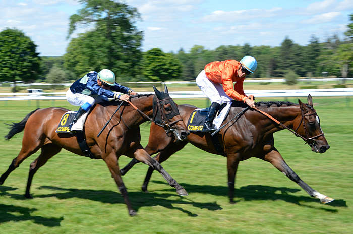 Pronostic Quinté du Jeudi 24 Juillet 2025