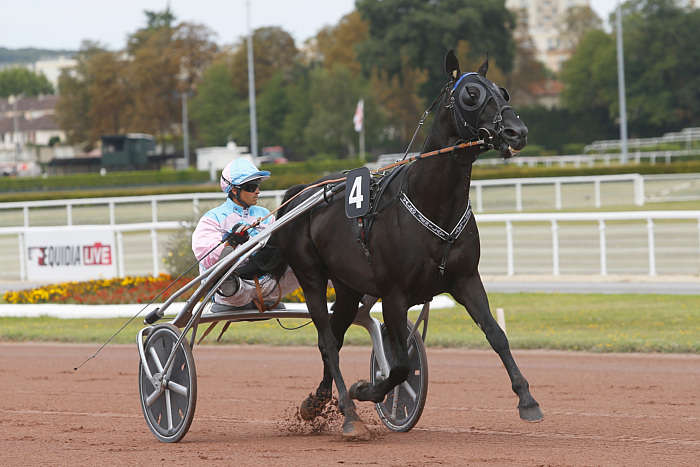 Pronostic Quinté du Samedi 26 Juillet 2025
