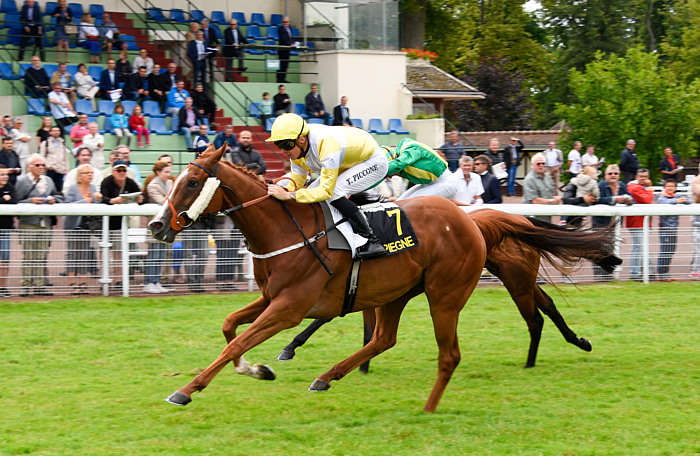 Pronostic Quinté du Mardi 29 Juillet 2025