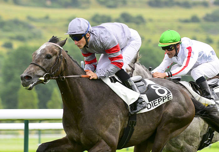 Pronostic Quinté du Jeudi 31 Juillet 2025