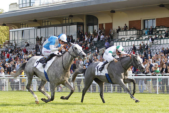 Pronostic Quinté du Jeudi 28 Août 2025