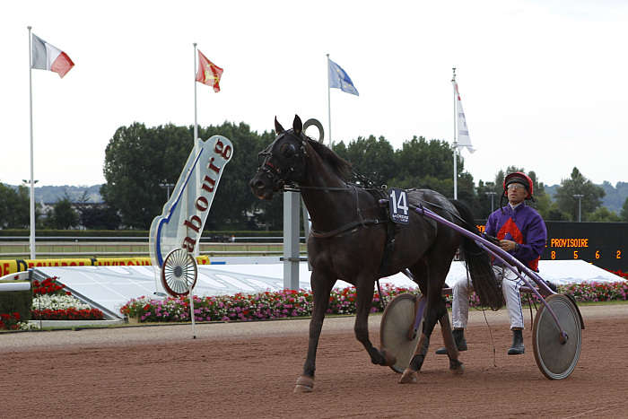 Pronostic Quinté du Vendredi 29 Août 2025