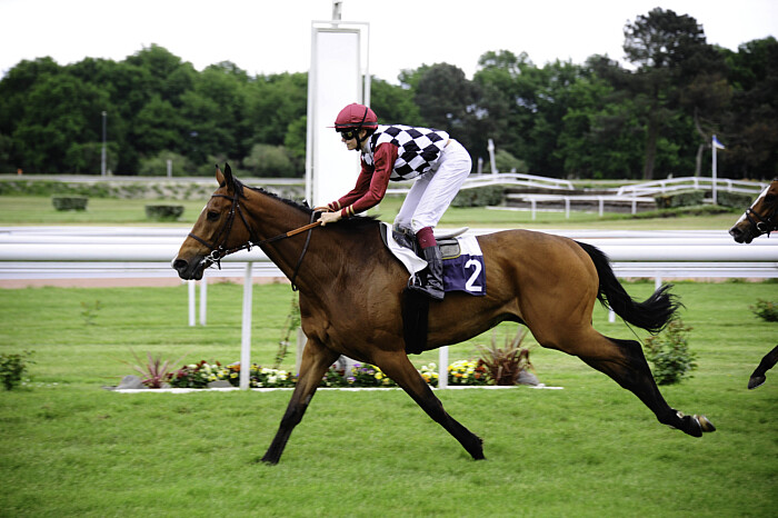 Vainqueur le 2 - Opus Of Warsaw - Monter par M Lauron