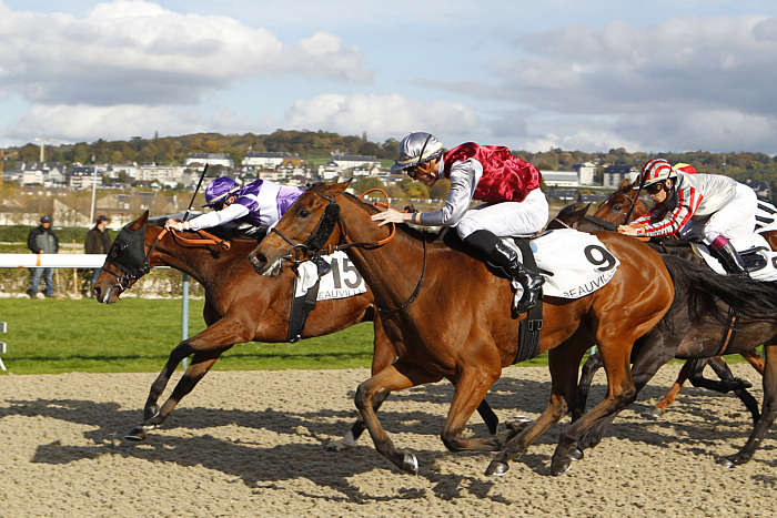 Pronostic Quinté du Lundi 04 Août 2025