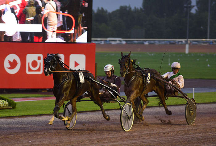 Pronostic Quinté du Vendredi 08 Août 2025