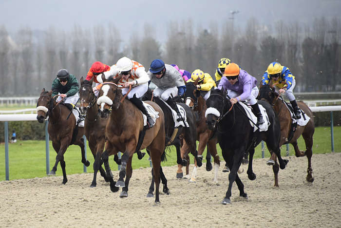 Pronostic Quinté du Mardi 12 Août 2025