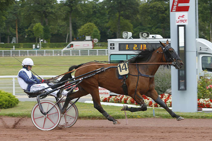 Pronostic Quinté du Mercredi 13 Août 2025