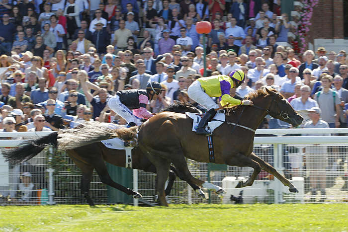 Pronostic Quinté du Jeudi 14 Août 2025