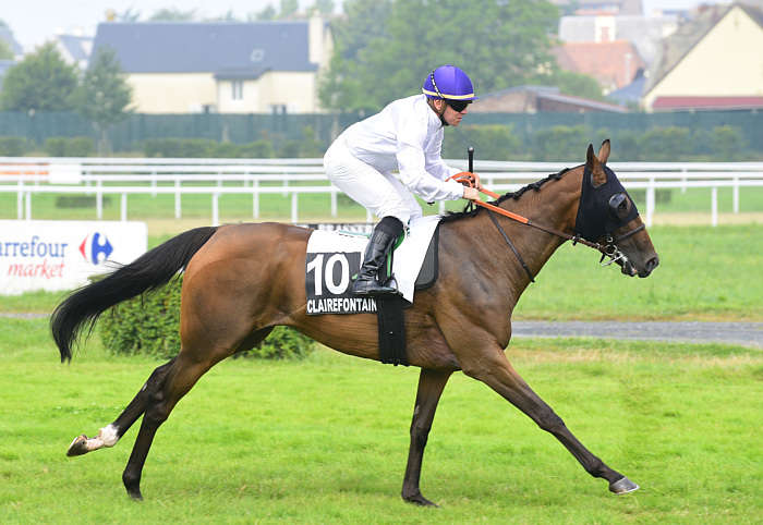 Pronostic Quinté du Vendredi 15 Août 2025