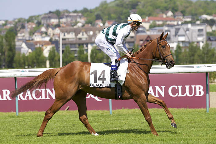 Pronostic Quinté du Samedi 16 Août 2025