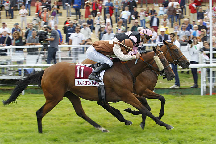 Pronostic Quinté du Lundi 18 Août 2025