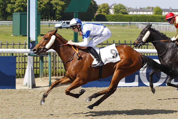 Pronostic Quinté du Lundi 01 Septembre 2025