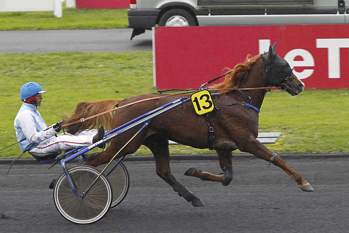 Pronostic Quinté du Samedi 06 Septembre 2025