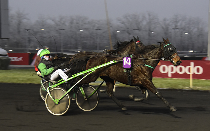 Course 7 - Croisette - Matthieu Abrivard