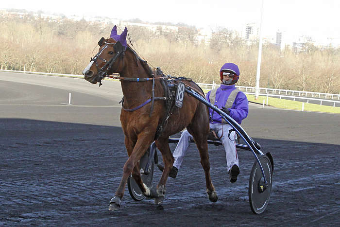 Pronostic Quinté du Mercredi 10 Septembre 2025