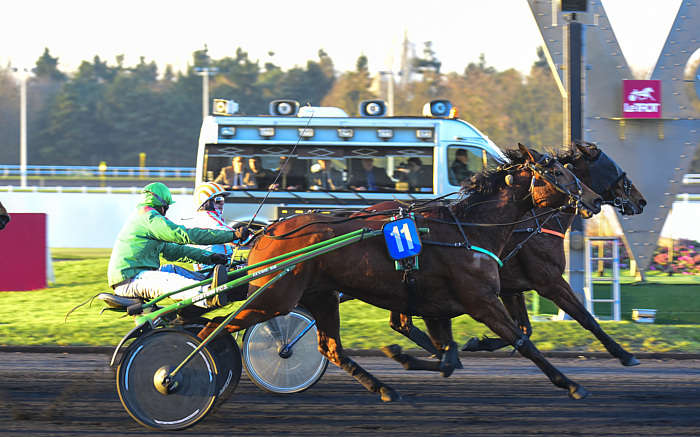 Pronostic Quinté du Samedi 13 Septembre 2025