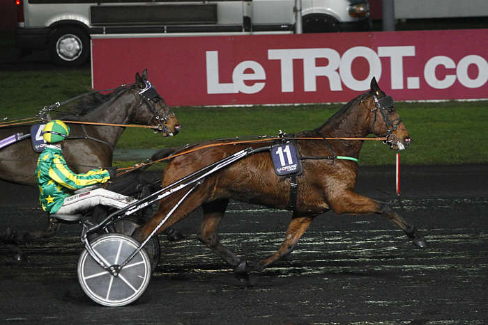 Pronostic Quinté du Vendredi 19 Septembre 2025