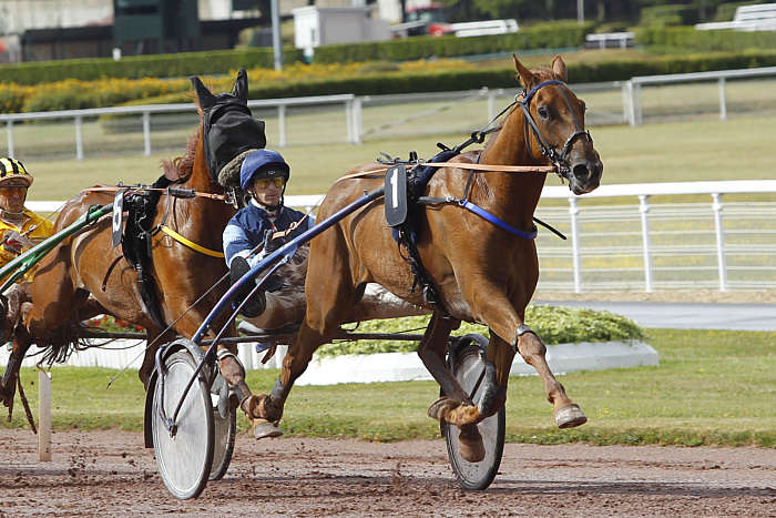 Pronostic Quinté du Mercredi 24 Septembre 2025