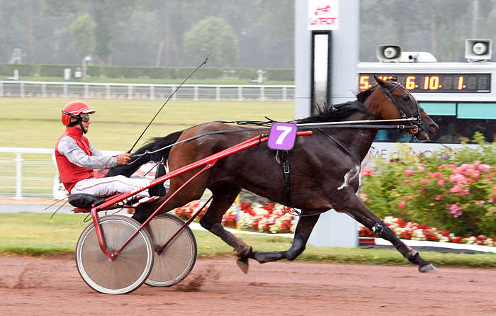 Pronostic Quinté du Lundi 29 Septembre 2025