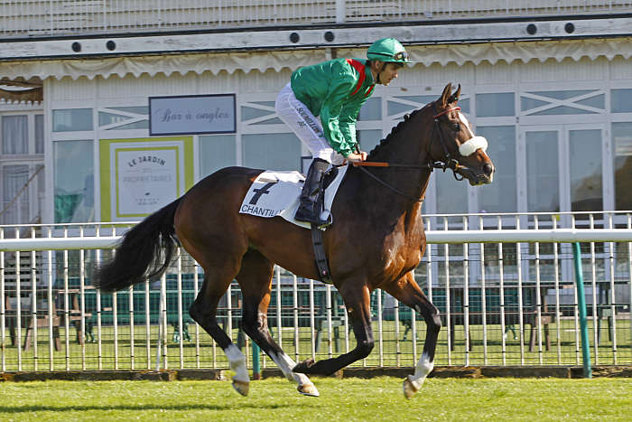 Pronostic Quinté du Mardi 30 Septembre 2025