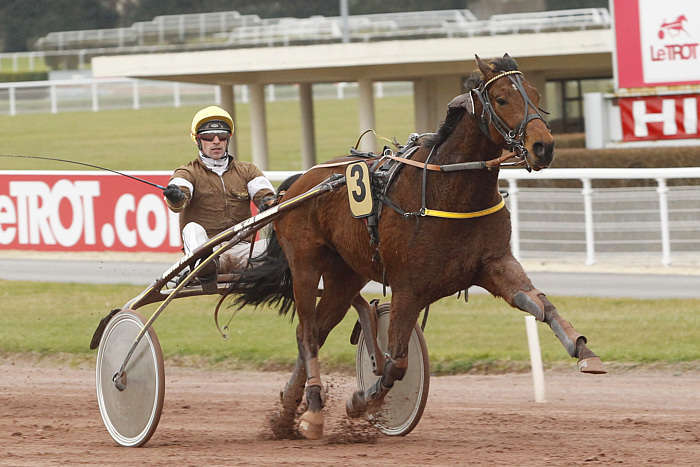 Pronostic Quinté du Samedi 01 Novembre 2025