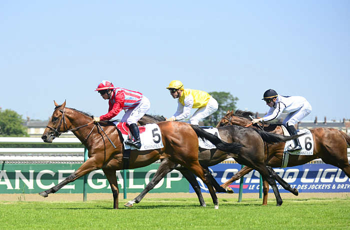 Pronostic Quinté du Samedi 04 Octobre 2025