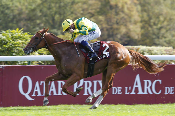 Pronostic Quinté du Dimanche 05 Octobre 2025