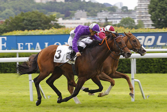 Pronostic Quinté du Jeudi 09 Octobre 2025