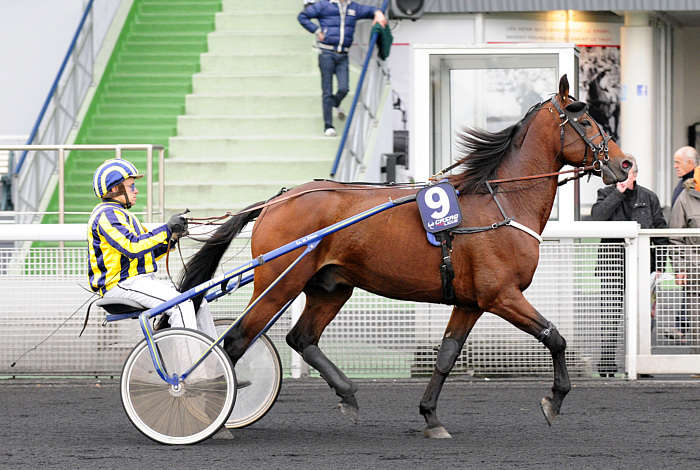 Pronostic Quinté du Vendredi 10 Octobre 2025