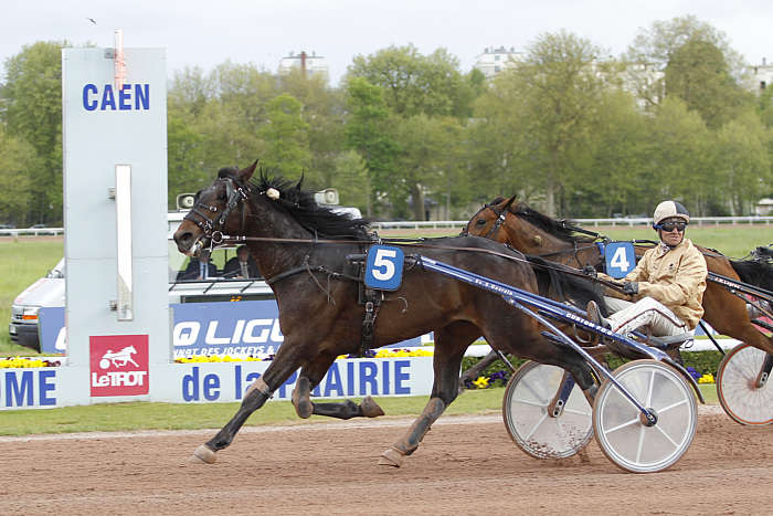 Pronostic Quinté du Samedi 11 Octobre 2025