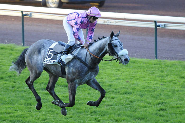 Pronostic Quinté du Lundi 13 Octobre 2025