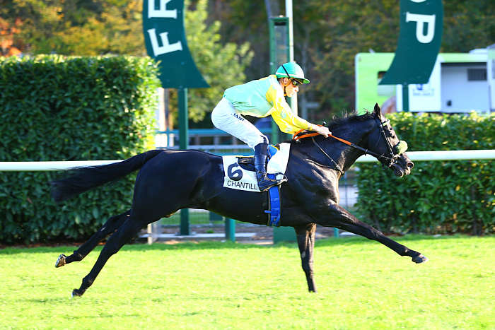 Pronostic Quinté du Mardi 14 Octobre 2025